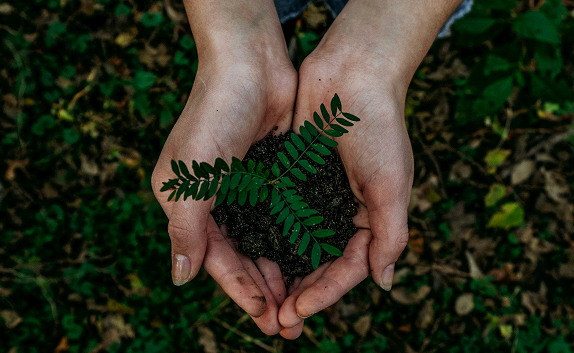 Environnement